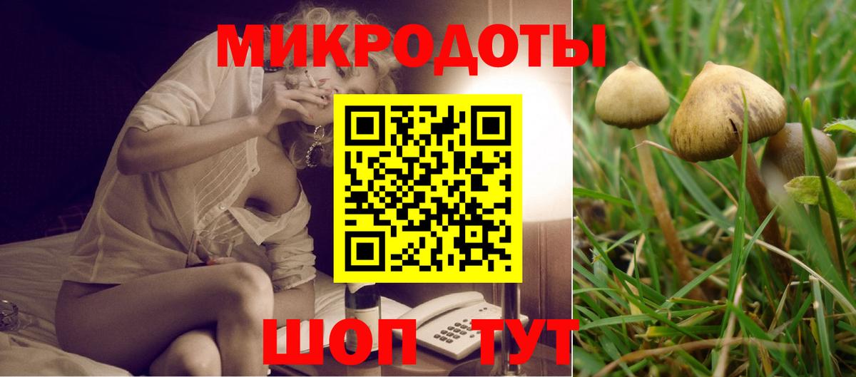Галлюциногенные грибы Cubensis Оренбург